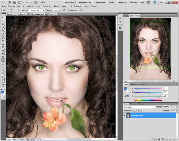 скриншот Adobe Photoshop CS5